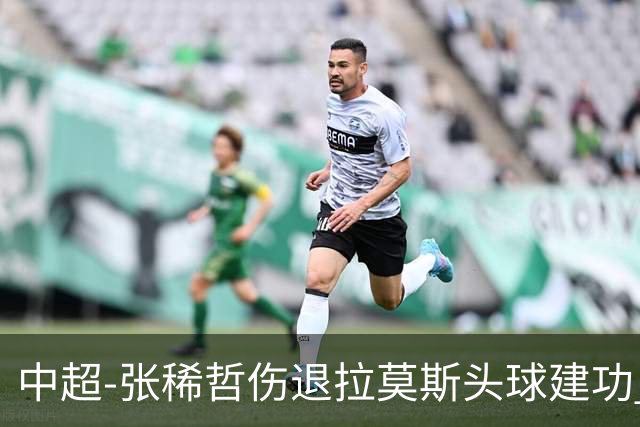 中超-张稀哲伤退拉莫斯头球建功 国安1-0双杀三镇